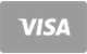 Visa pago con tarjeta en Netflix Casino